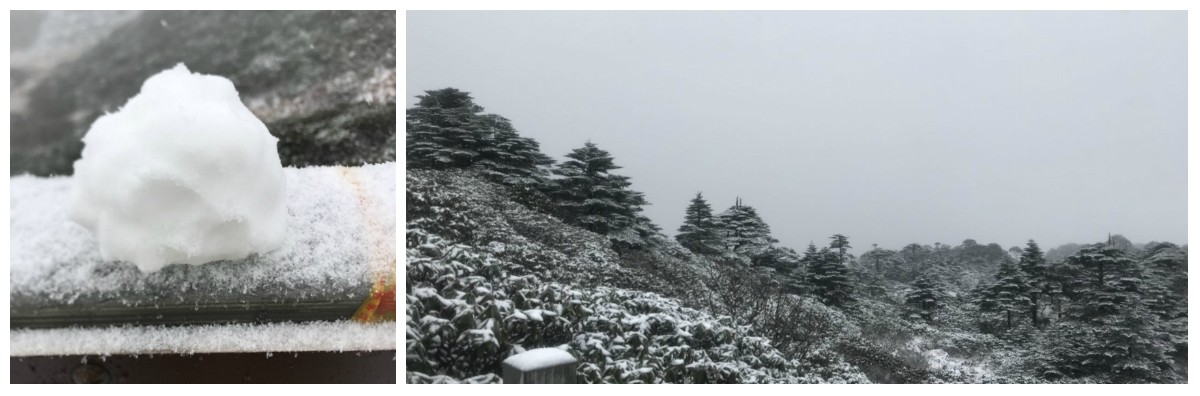 風(fēng)花雪月瑞方情，萬水千山大理行 第6張