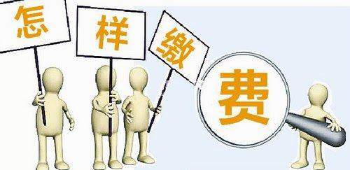 什么公司可以代繳養(yǎng)老保險(xiǎn)？ 第1張